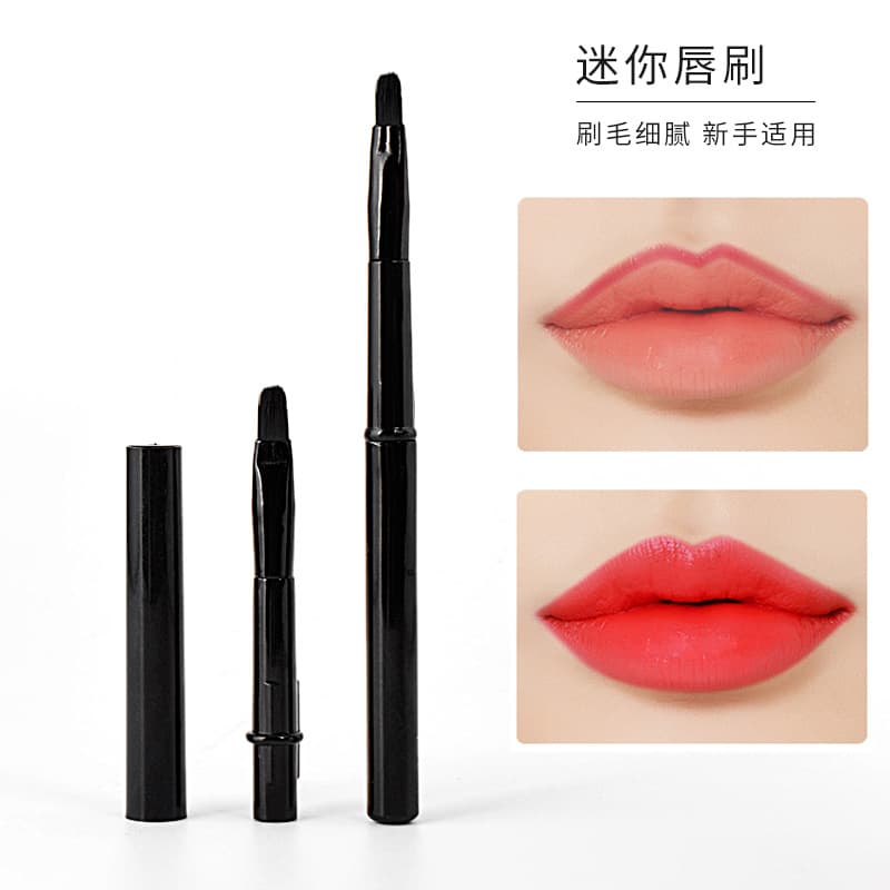 Portable Mini Lip Brush with Cap, Lipstick Brush for Makeup, Soft Bristles for Lip Contouring, Beginner Small Makeup Brush Lip Pen