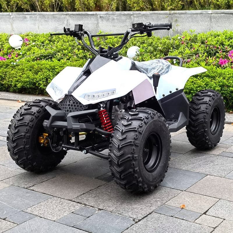Motorcycle ATV Off-Road 110cc 125cc ATV Mini 110cc ATV Four-Wheel Off-Road Sand Motorcycle
