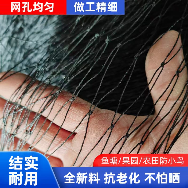 PE Bird Netting Black Orchard Heavy Duty Thick Netting Greenhouse Netting Cross-border Climbing Net Protection Net Mesh Anti-Hail