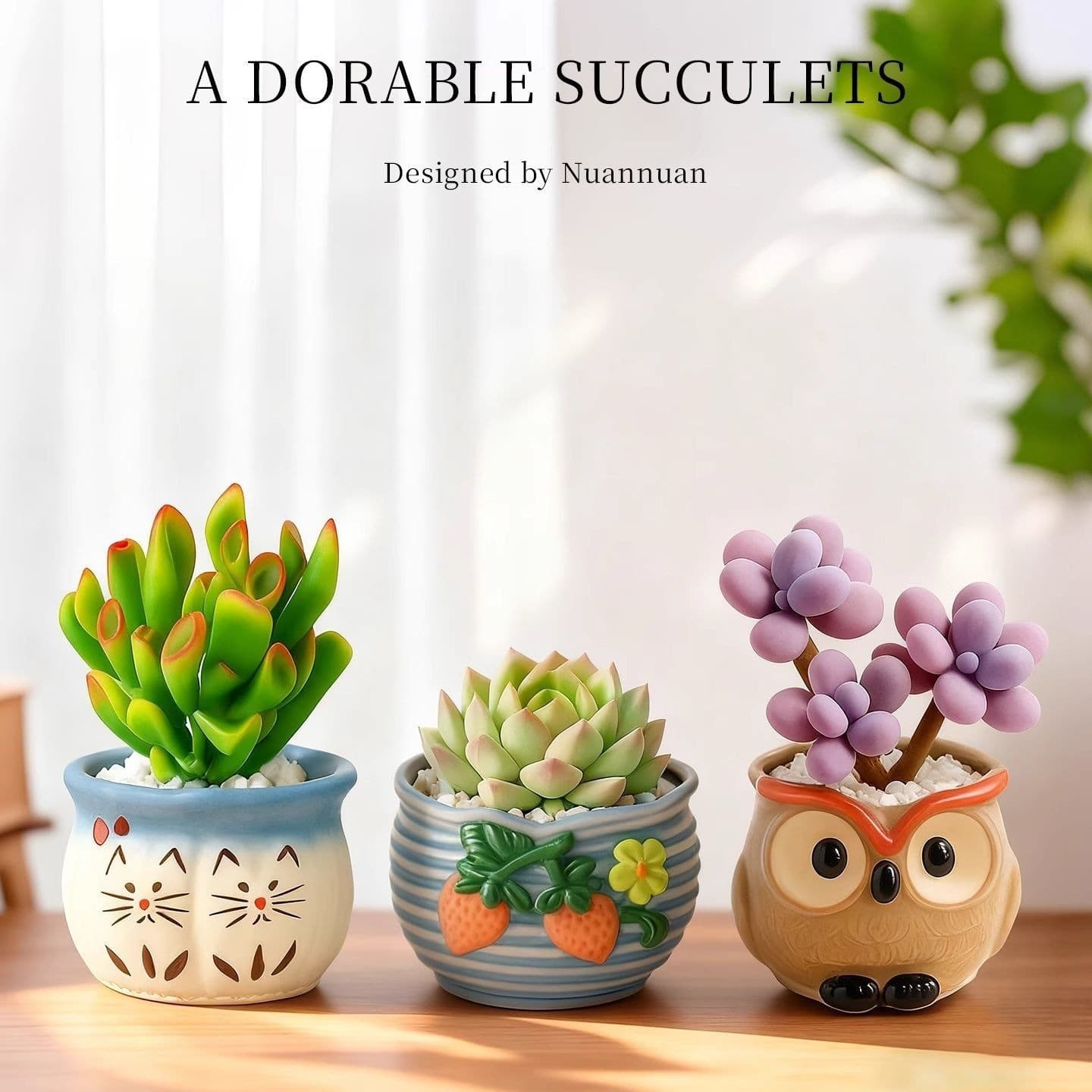 Succulent Plant Combo Indoor Small Potted Plants Large Easy Care with Ceramic Pot Soil Office Desktop Greenery