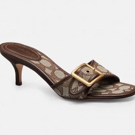 C-Style New Cross-Border European and American Fashion Metal Belt Buckle Printed Letter Plus Size Flat High-Heel Slippers Beach Shoes