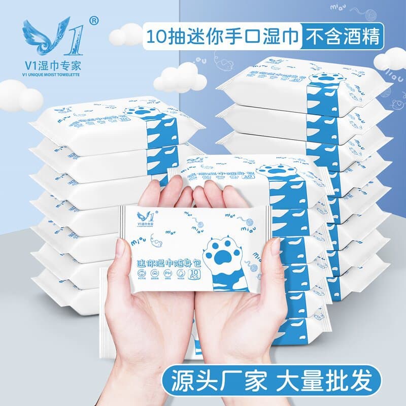 Mini 10-Pack Portable Wet Wipes, Pull-Out Baby Hand and Mouth Wipes, Children's Hygiene Wipes
