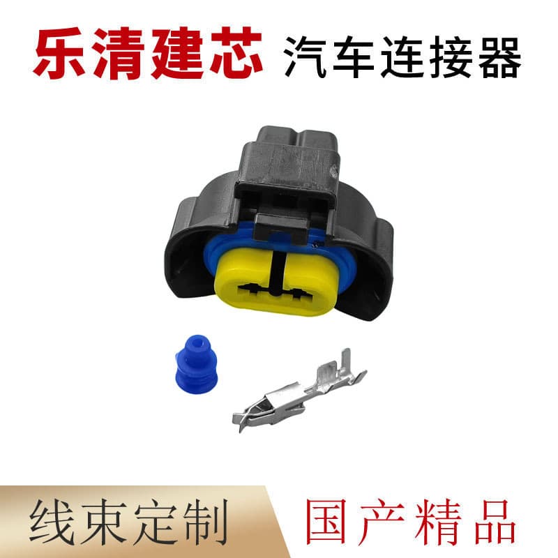 240PC23S4019 is suitable for automotive H8/H9 connector automotive fog light plug DJ70238Y-2.8-21