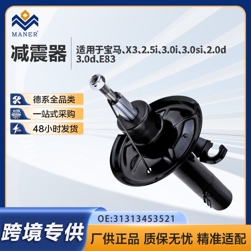 Front Left Suspension Shock Strut for BMW X3 E83 1313453521
