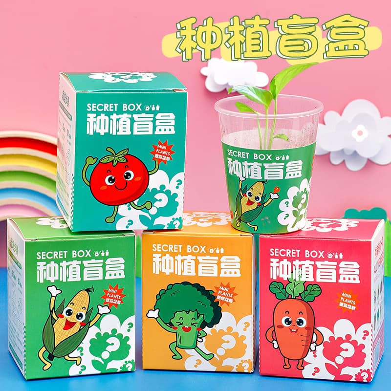 Kindergarten Planting Potted Blind Box Children's Plant Flower Seeds Small Gift Creative Desktop Decoration Small Potted Plant
