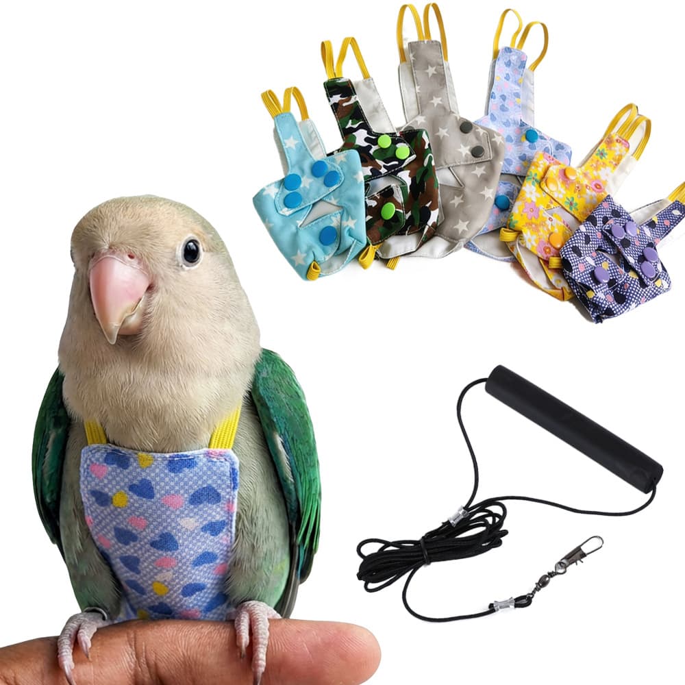 Parrot Tethering Rope for Birds, Elastic Leash for Walking Birds Outdoors, Suitable for Budgerigars, Cockatiels, and Lovebirds