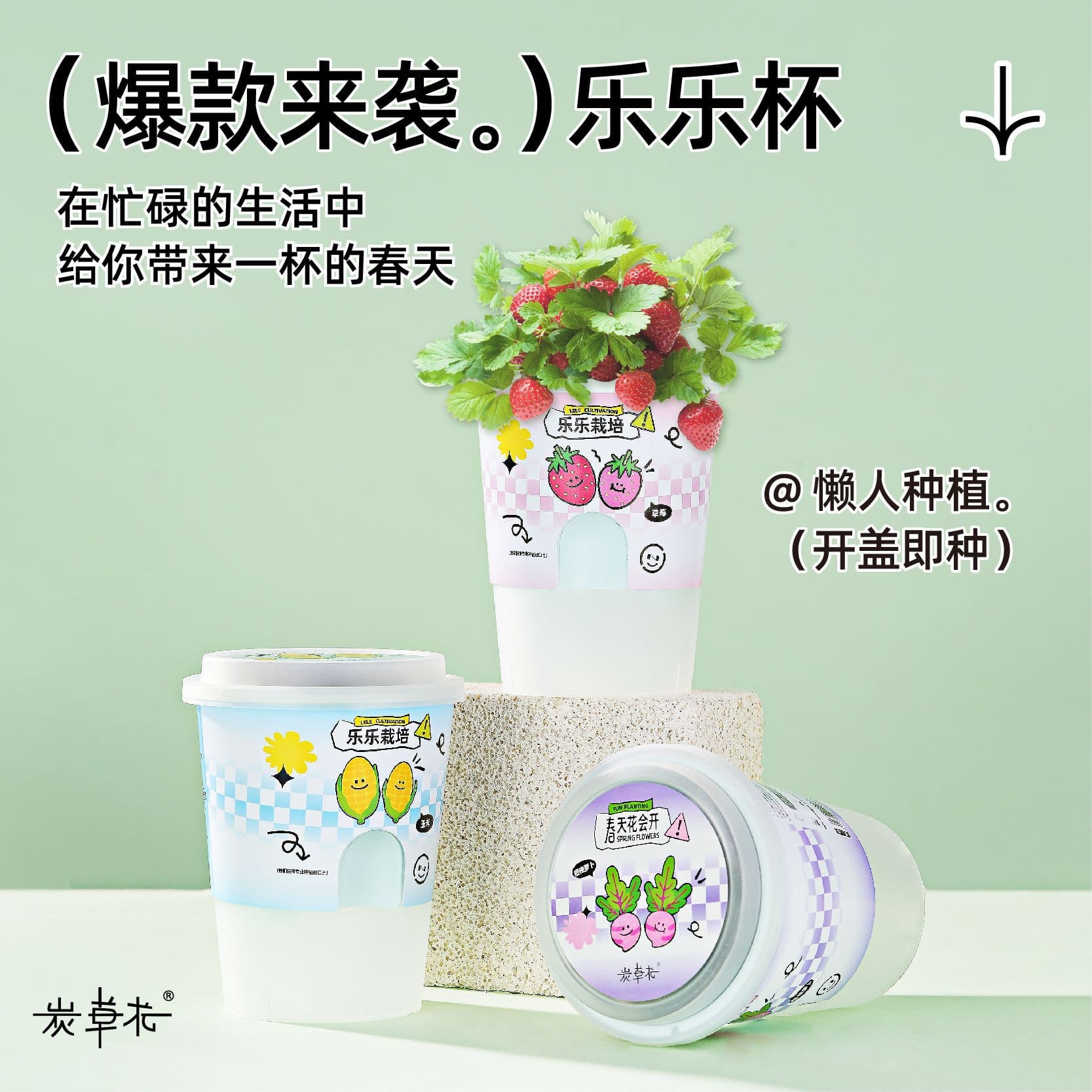 Lele Cup Lazy Care Planting Toy Potted Plant Set for Children, Educational and Scientific, Perfect for Elementary School Students