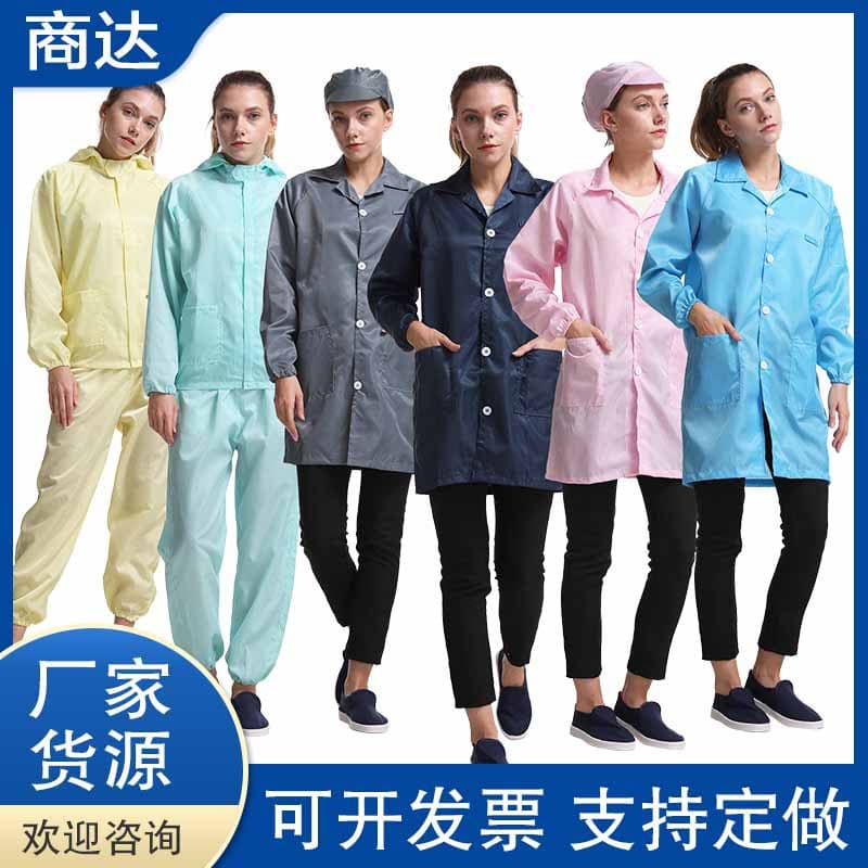 Anti-Static Gown, Pharmaceutical Food Dust-Free Clothing, Electronic Workshop Protective Hooded Split Workwear, Clean Coveralls