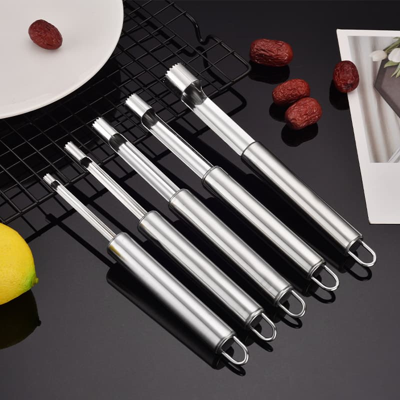 Stainless Steel Fruit Corer with Plastic Handle, Pit Remover for Hawthorn, Red Dates, and Apples