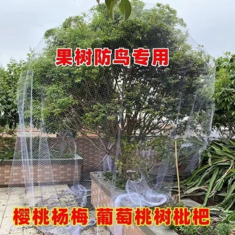 Wholesale Fruit Tree Bird Protection Cover Jaboticaba Cherry Blueberry Orchard Nylon Protective Net Vegetable Garden Balcony Protection Cover Bird Repellent