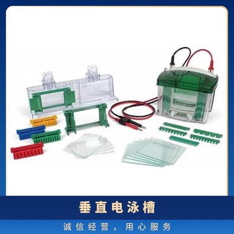 BIO-RAD Vertical Electrophoresis Tank 1658001 Quantity 99 Short Glass Plate 10.1x7.3 Lainai Others