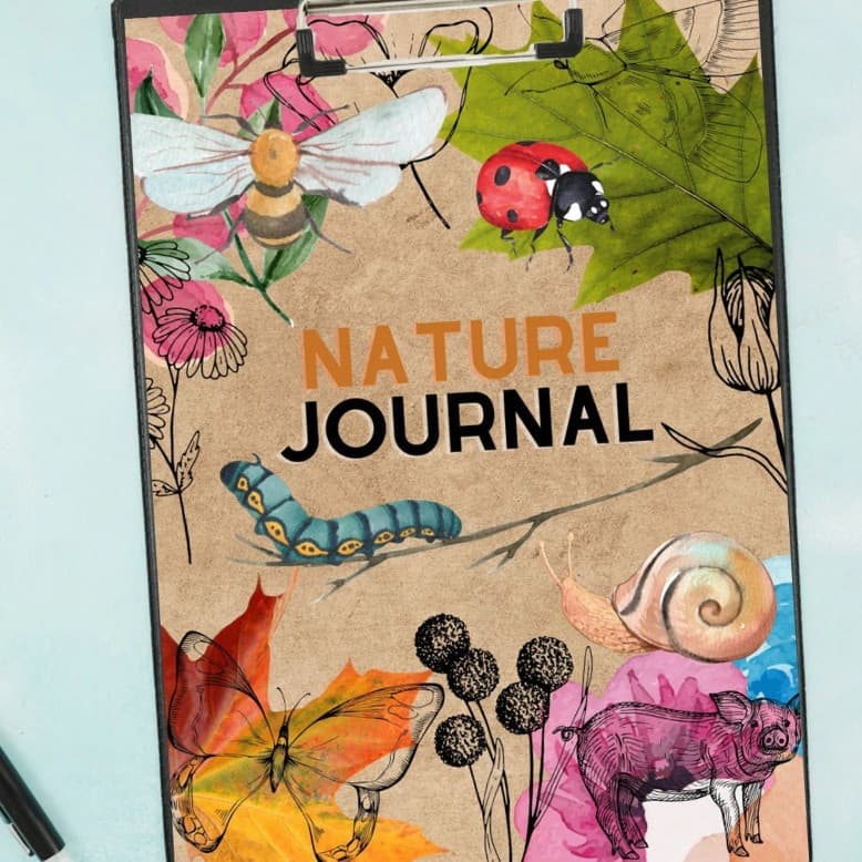 Nature Journal; Homeschool; Charlotte Mason Method; Outdoor Journal; Children's Nature Journal