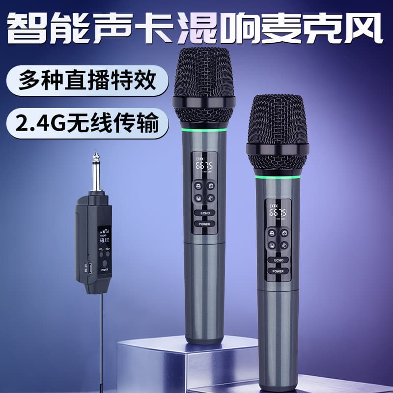 2.4G Universal Wireless One-to-Two Microphone Charging Version Home KTV Singing Audio General Handheld Microphone
