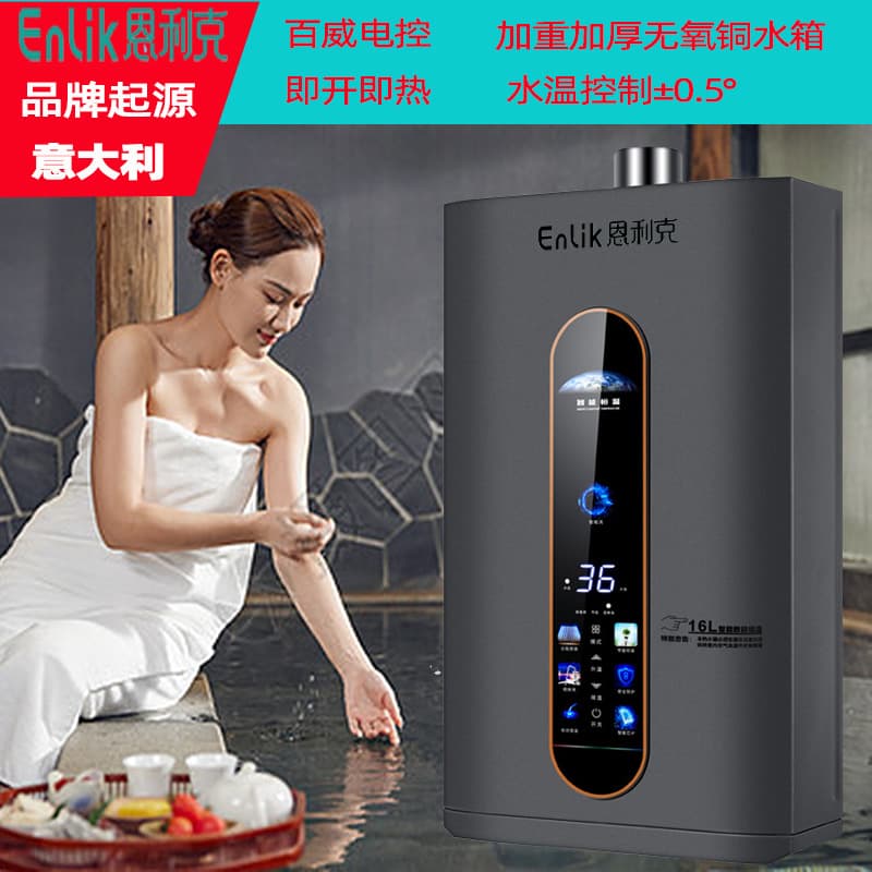 Gas Water Heater Household Water Heater Large Flow Ultra Quiet Instant Hot Water Forced Exhaust Smart Constant Temperature Energy Saving