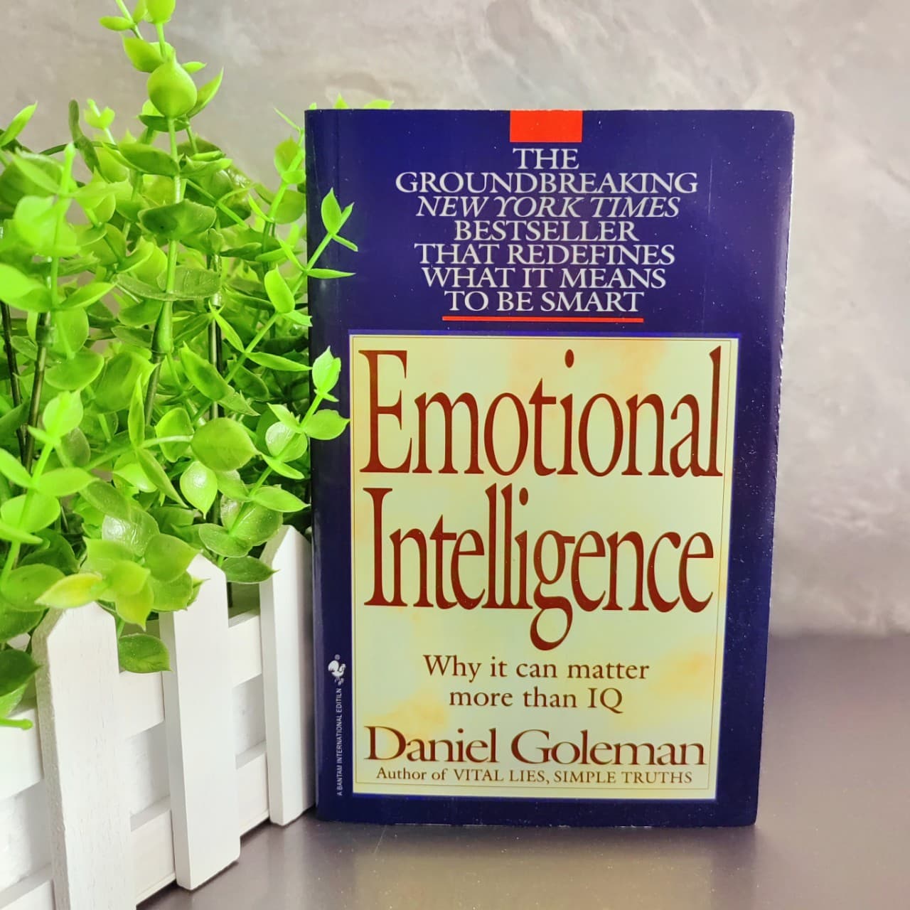 Emotional Intelligence (English version by Daniel Goleman)