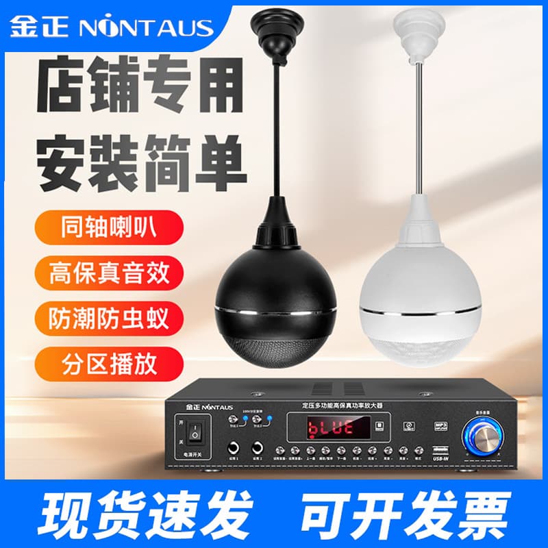 Jinzheng Dome Speaker Set, Ceiling Horn Broadcast for Shops, Amplifier Set