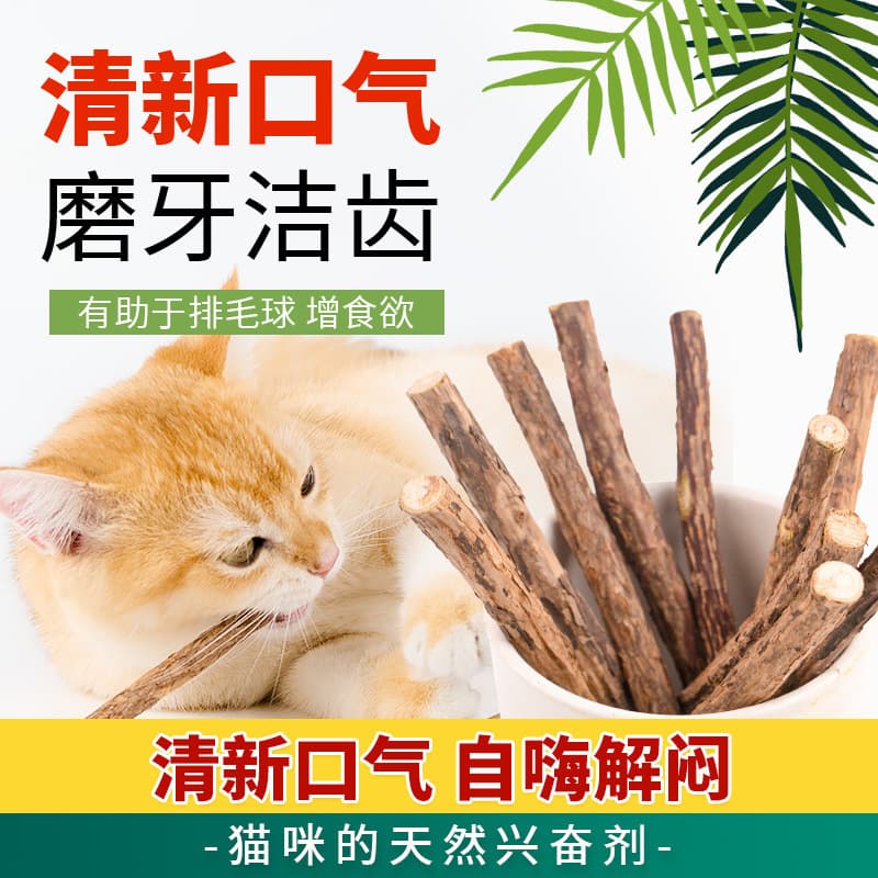 Silvervine Chew Stick Catnip Lollipop Cat Snack Durable Chew Toy Fresh Breath Pet Supplies
