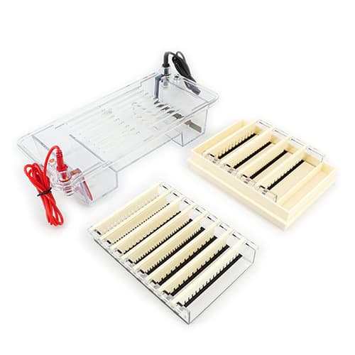 Liuyi DYCP-32C Agarose Horizontal Electrophoresis System, large-sized and injection-molded.