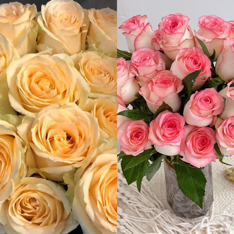 Sunflower Fresh Flowers Yunnan Direct Shipment Multi-Head Roses, Baby's Breath, Carnations, Eustoma Real Flowers Wholesale Gift