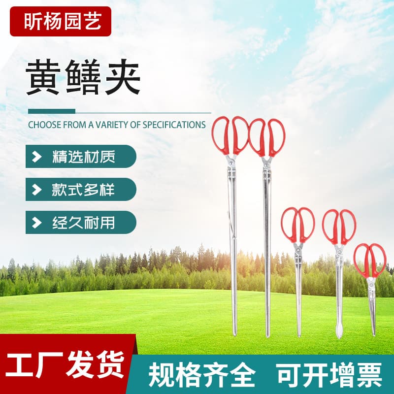 Wholesale Stainless Steel Eel Clamps Beach Clamping Pliers Loach Lobster Pliers Sanitation Garbage Picking Clamps Eel Clamps