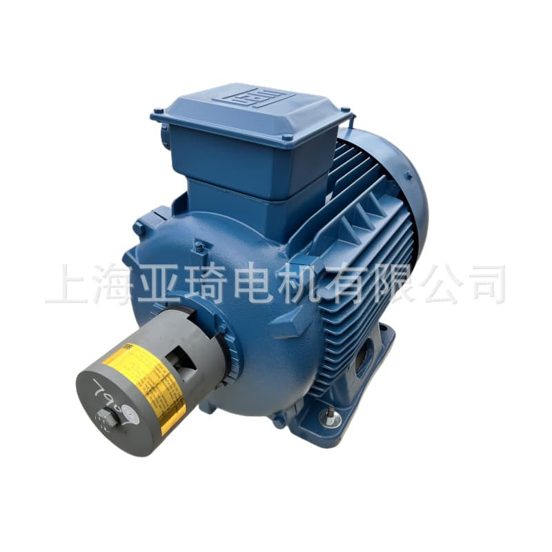 WEG W21 series IE3 energy efficient WEG motor