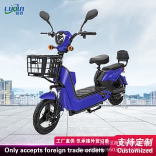 Global Hot Selling Cross-border Trade Golden Eagle Electric Bike Two-Wheel Bicycle Dual-Person Electric Commuter Scooter Power-Assist E-Bike