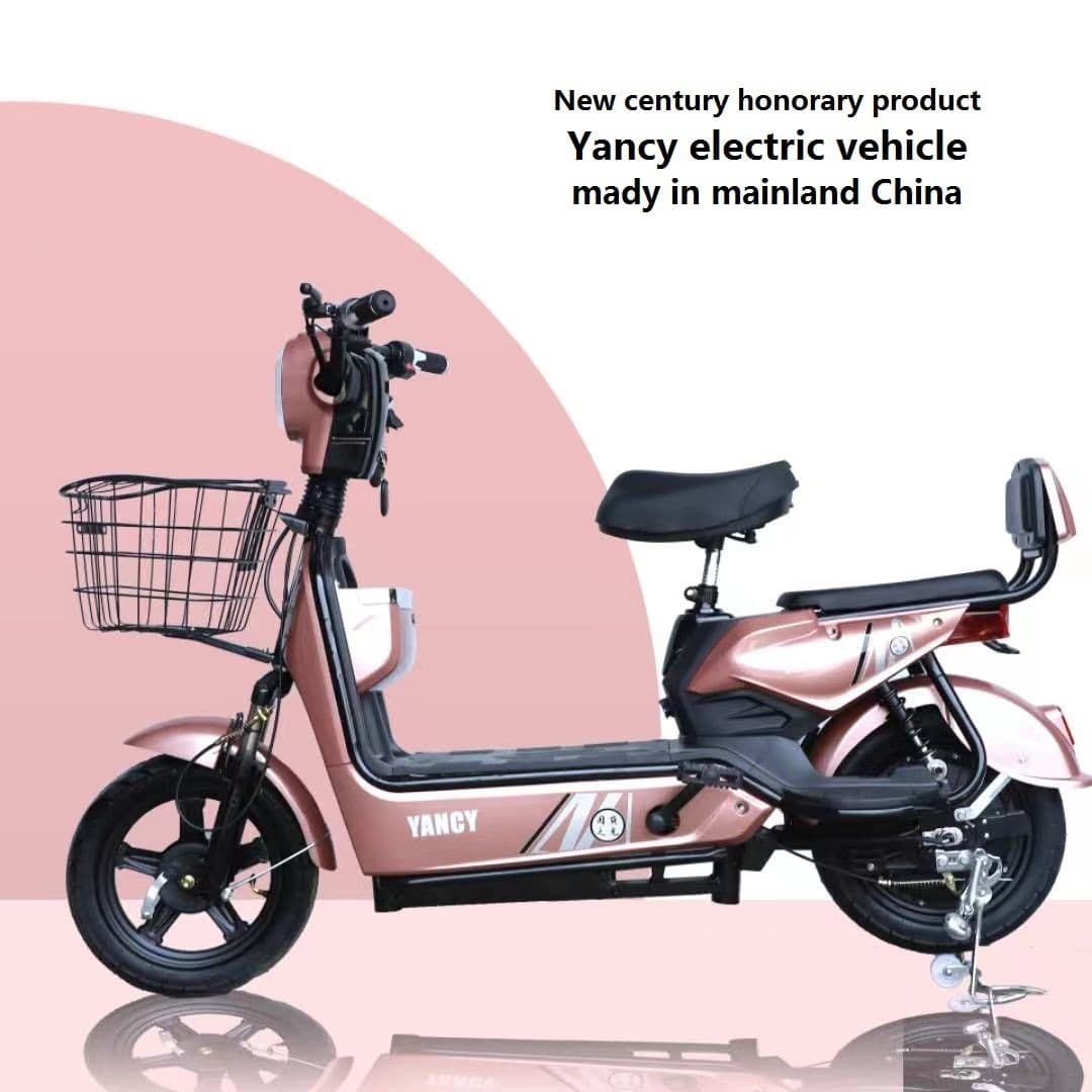 Electric Bicycle Two-Wheeled Electric Scooter Unisex Battery Bike Wholesale Export New Model Electric Motorcycle