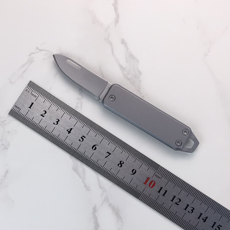 Stainless Steel Key Knife Folding Portable Fruit Knife Premium Mini Knife Outdoor Home EDC Parcel Opener