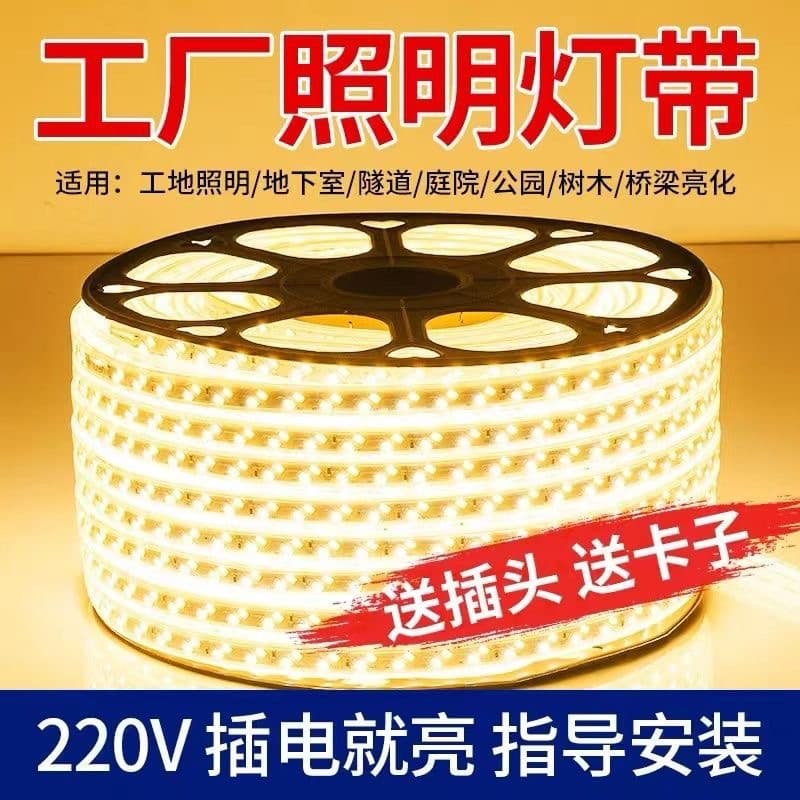 220V High Voltage LED Strip Outdoor Project Waterproof Flexible Indoor/Outdoor Home Decoration High Brightness Linear Light Wholesale