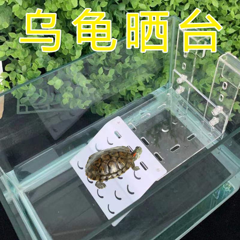Acrylic Tortoise Drying Table Back Climbing Table Wall Hook Tortoise Tank Box Climbing Climbing Frame Aquarium Floating Island High Water Level