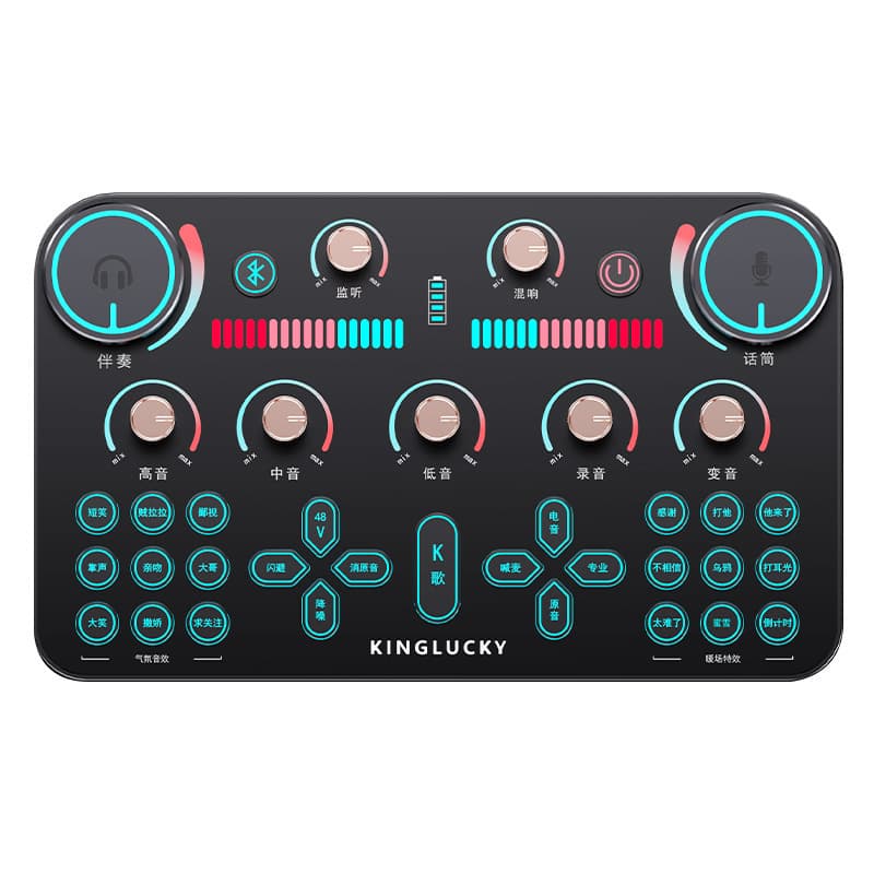 V20 Live Streaming Sound Card Recording and Singing Equipment, Professional Karaoke Microphone Set for Computer and Mobile Phones, Fully Customizable