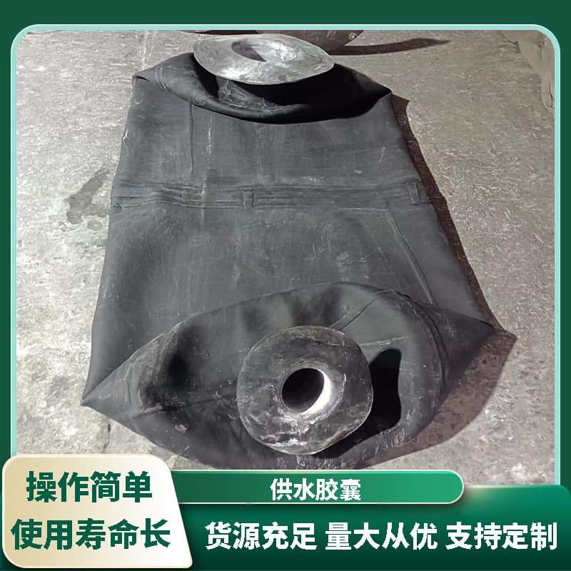 Hebei Diaphragm Pressure Tank Rubber Airbag, Rubber Bladder, Stabilizing Tank Inner Liner, Single-Port Double-Buckle Water Supply Capsule