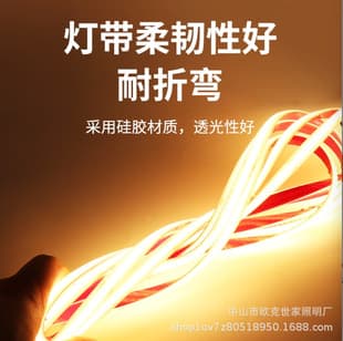 Low Voltage Waterproof Flexible LED Strip 24V Silicone Underwater Submersible LED Self-Adhesive Potting IP68 Outdoor Engineering COB Light Strip