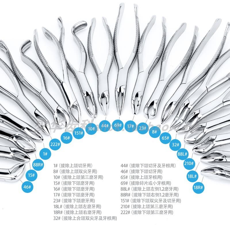 Weirongxing Dental Extraction Forceps Adult Extraction Forceps Uncoated Stainless Steel Extraction Forceps Dentist Forceps