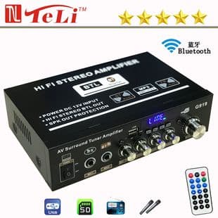 Cross-Border Mini G919 Bluetooth USB Radio 12V/110V-220V AC/DC Car Home Amplifier