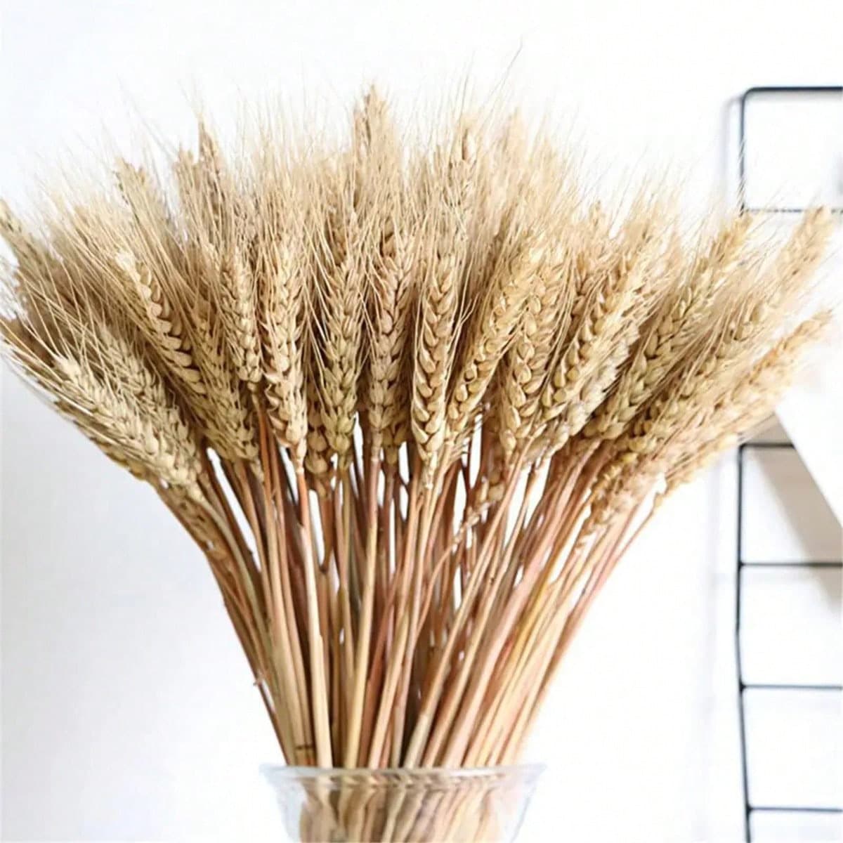 Natural Wheat Stems Dried Wheat Ears Golden Wheat Dried Flowers Home Decoration DIY Material Grand Opening Flower Basket Wholesale