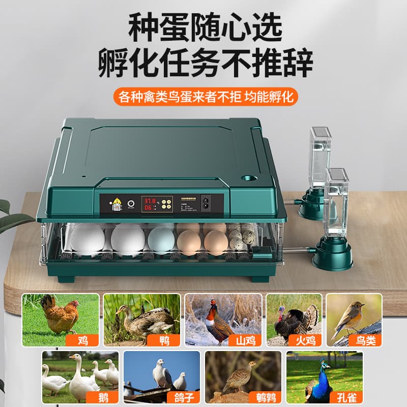Fully automatic incubator, small household smart incubator, smart rutin chicken, duck, goose, quail incubator