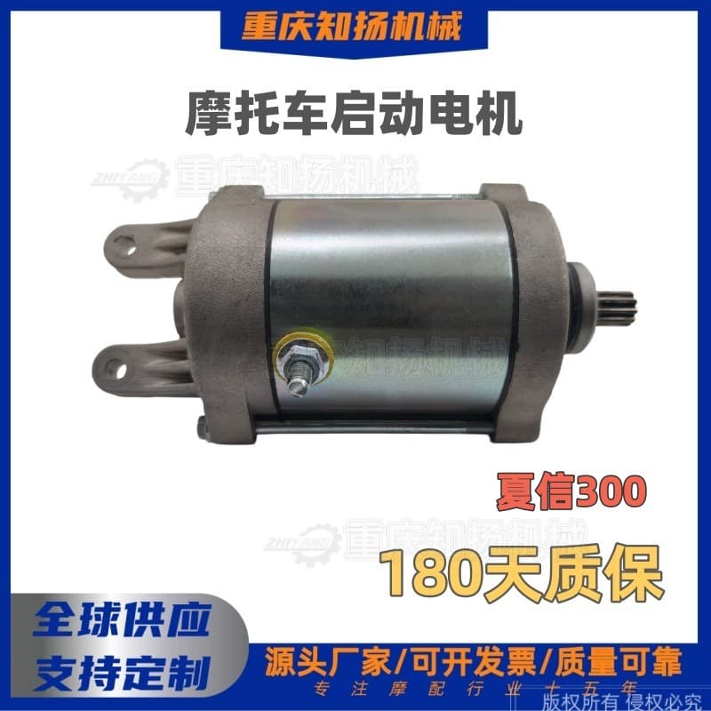 Motorcycle Starter Motor Compatible with Xiamen Xianyang SYM 300/Z300 RV250 9-Tooth Electric Start Motor Motorcycle Parts