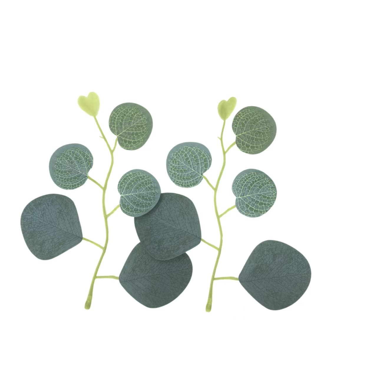 Eucalyptus single leaf love round leaf apple leaf eucalyptus leaf forest diy fake leaf love leaf simulation