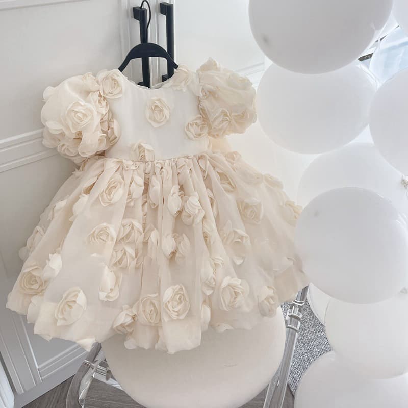 Children's Dress Princess Dress 2026 New Rose First Birthday Dress Hosting Performance Niche Dress Wholesale