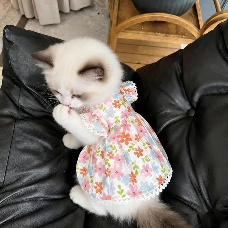 Cat Clothing Spring Summer Thin Style Ragdoll Golden Gradient Layered Floral Print Suspender Dress with Lace Flutter Sleeves for Kittens