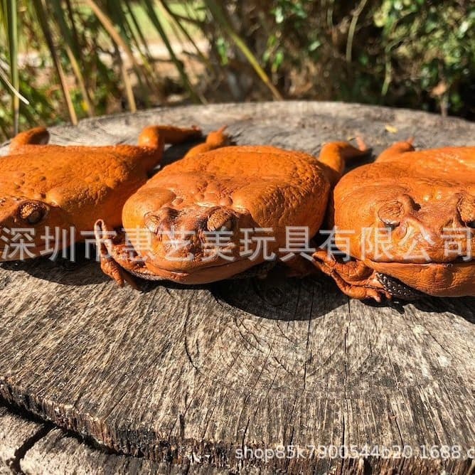 New Sugar Cane Toad Full-body Wallet Frog Purse Crocodile Skin Texture Handbag Elegant Office Lady Style