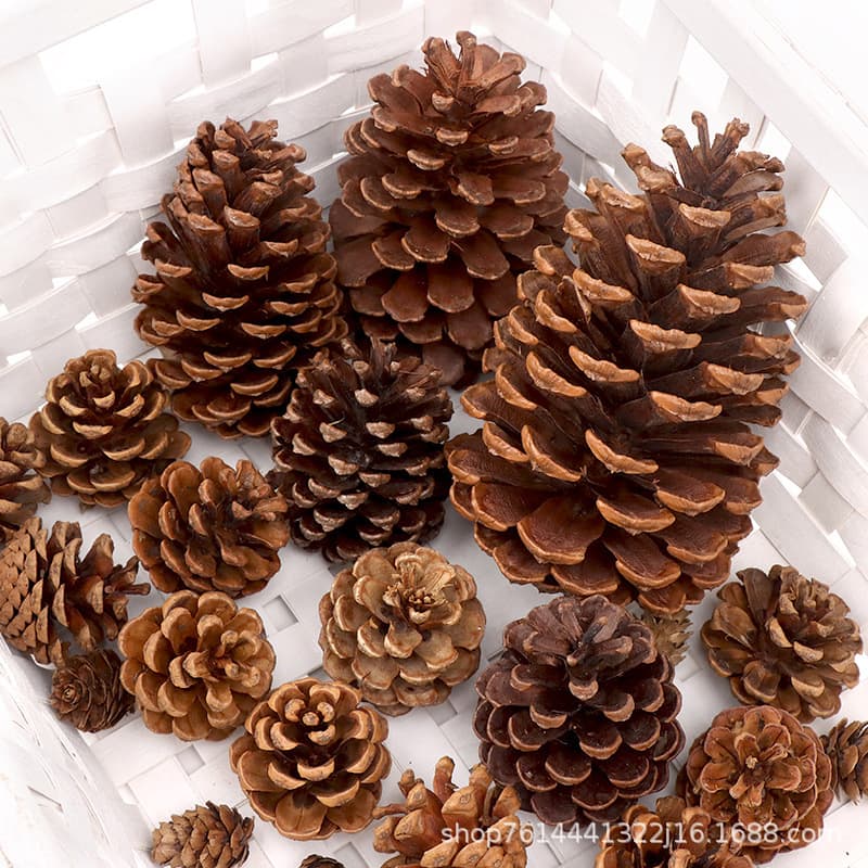 Pine Cone Decoration Material DIY Ornaments Natural Pine Cone Creative Handmade Dry Pine Cone Artificial Christmas Tree