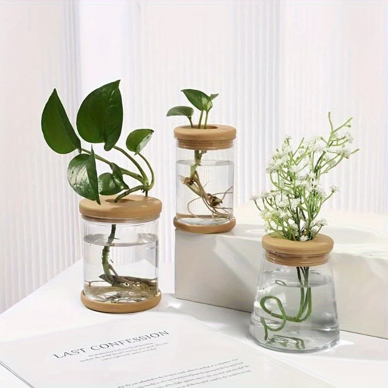 Clear Hydroponic Plant Vase 3pcs