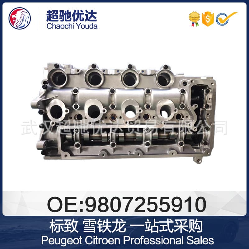 9807255910 Engine Cylinder Block for Peugeot Citroen Renault DW10 2.0T