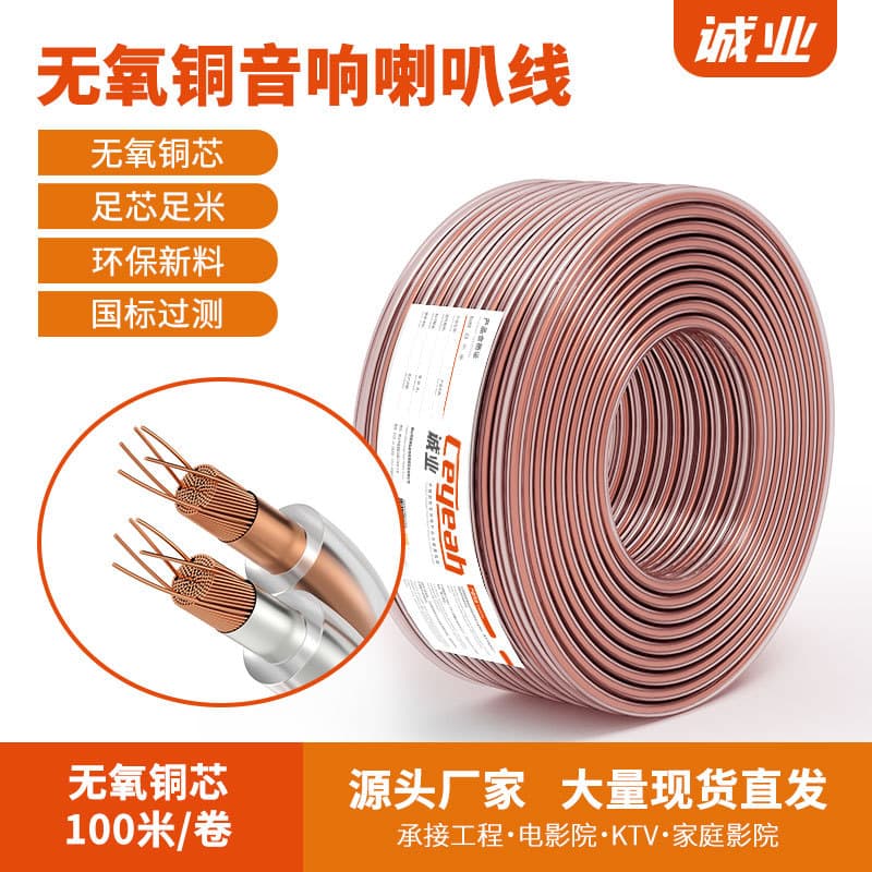 Chengye Audio Engineering Cable RVH High-Fidelity Shielded Speaker Wire Oxygen-Free Copper HIFI Grade Broadcast Speaker Gold-Silver Wire