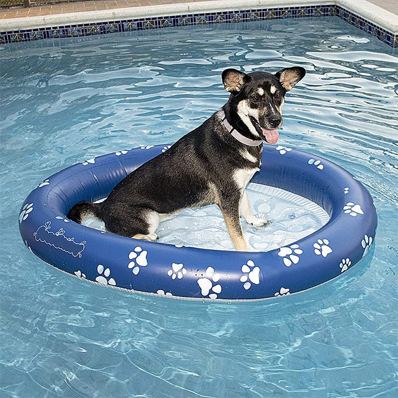 Custom PVC Inflatable Floating Raft Pool Float for Dogs and Puppies Large Pet Dog Cat Pool Float