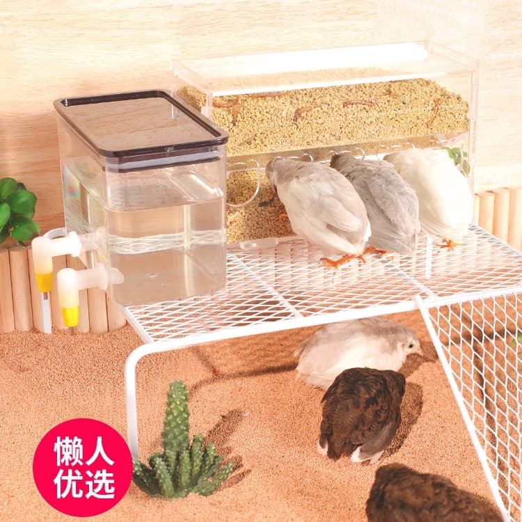 Quail Drinking Water Dispenser Automatic Feeder Anti-Pecking Trough Food Box Platform Feed Box Water Bottle