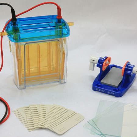 Liuyi DYCZ-24F Dual Vertical Electrophoresis System, large-sized and injection-molded.