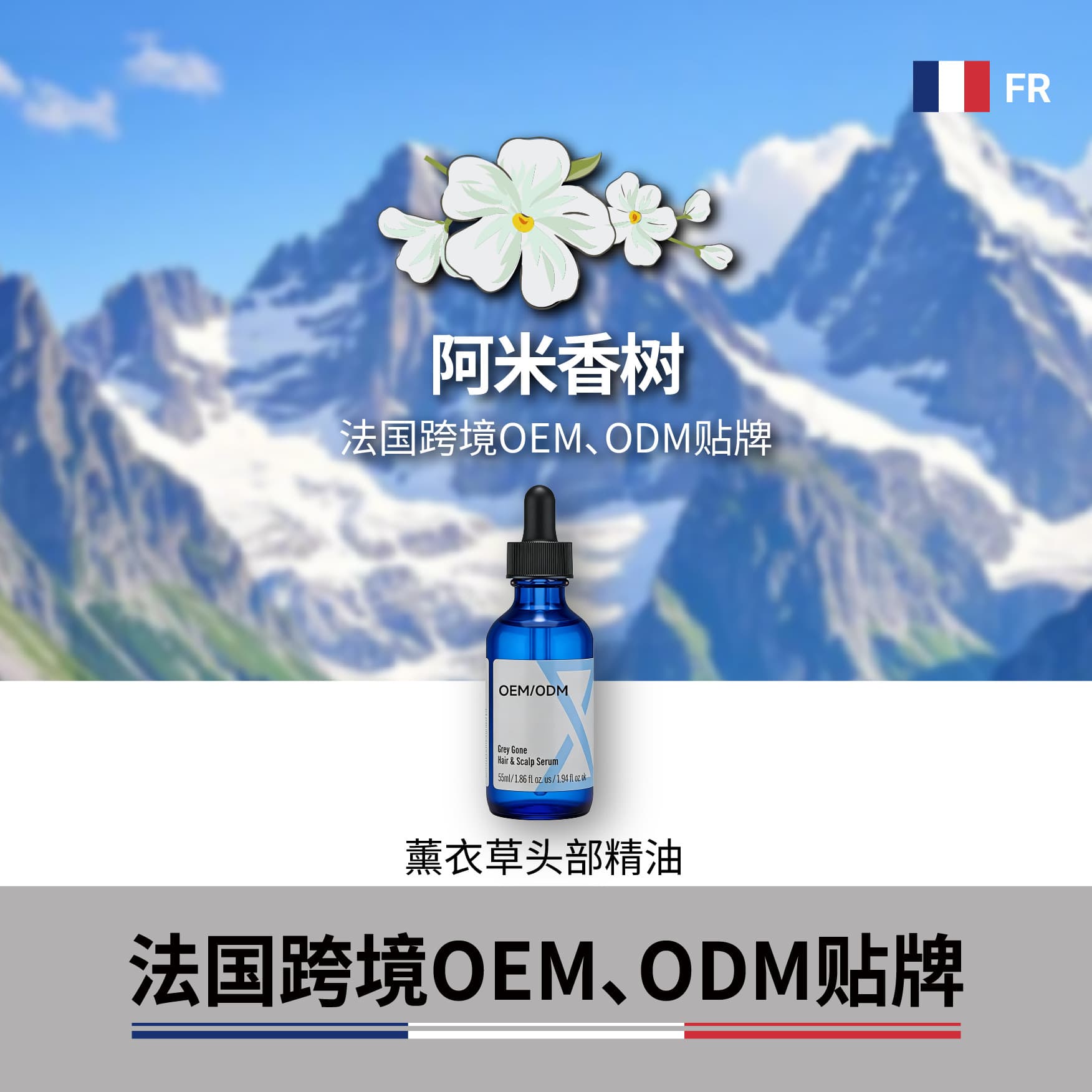Lavender Head Essential Oil, Scalp Essential Oil, Head Massage Oil, Original Imported from France, Manufactured and Processed by Oem